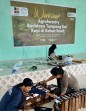 Sukses di Siak, Yayasan Gambut dan BPDP Lanjutkan Workshop Agroforestry Kopi di Bengkalis