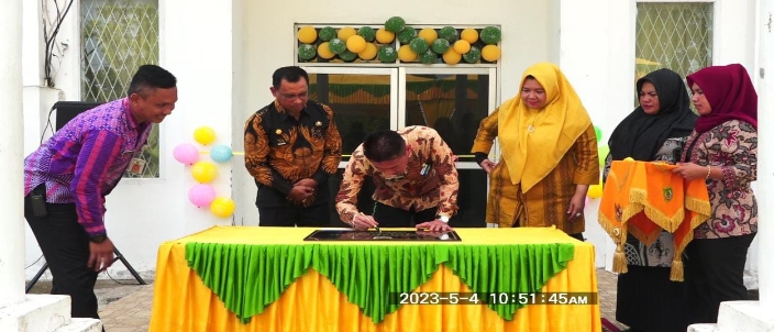 Bupati Rohil Resmikan UPT Instalasi Farmasi Dinkes