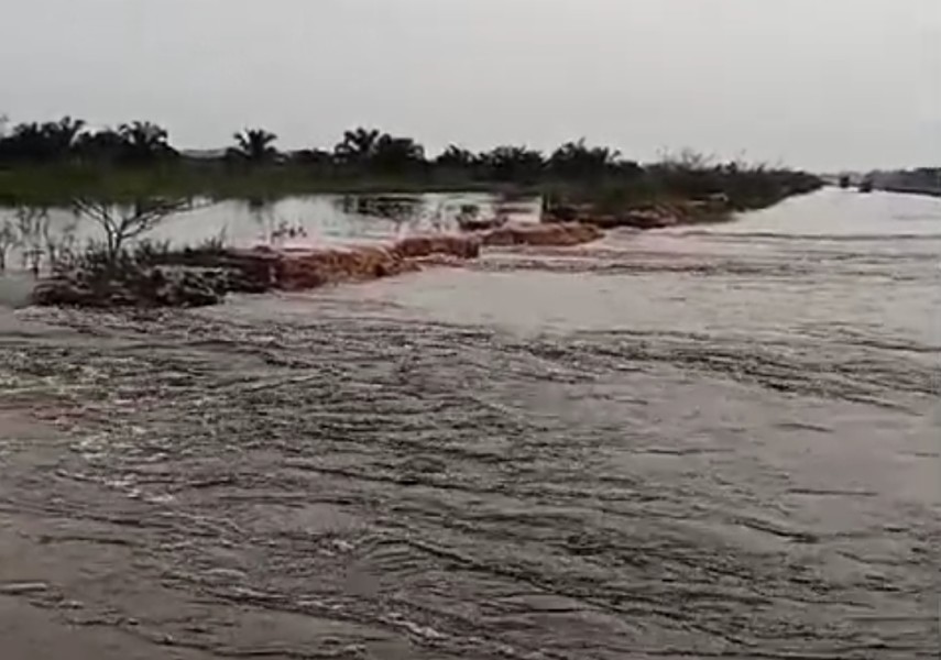 Banjir di Langgam Bakal Lama Surut, Tanggul Buatan RAPP Jadi Penyebab