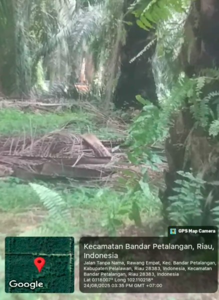 Truk dan Alat Berat Terpantau Beroperasi di Lokasi Galian C Diduga Ilegal