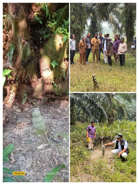 Tanah Leluhur Belasan Tahun Dikuasai PTPN IV, Warga Dua Desa Kini Berharap DPRD dan Pemkab Siak Bertindak