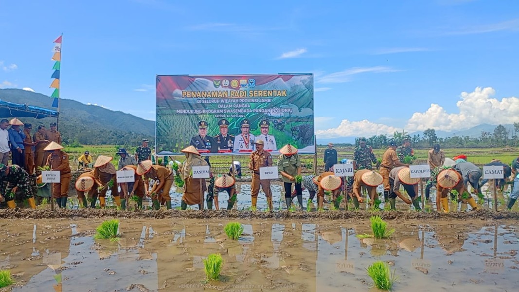 Dukung Sektor Pertanian, Kodim 0417/Kerinci Gelar Penanaman Padi Serentak di Dua Lokasi