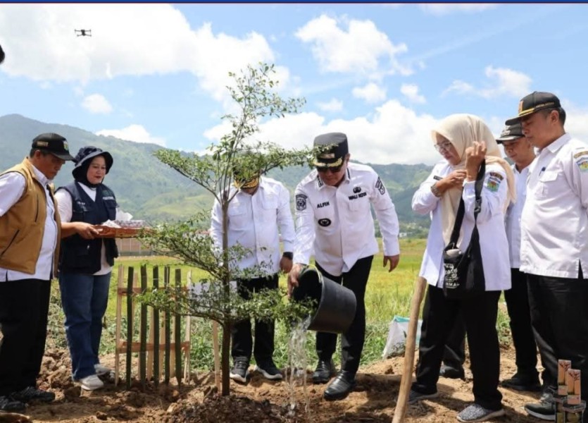 Peringati HUT ke-69 Provinsi Jambi, Wako Alfin Tanam 19 Ribu Pohon di Bantaran Batang Merao
