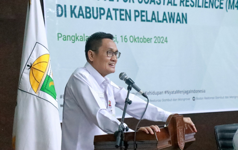 Pemkab Pelalawan  Apresiasi  Sosialisasi Percepatan Rehabilitas M4CR Oleh BRGM