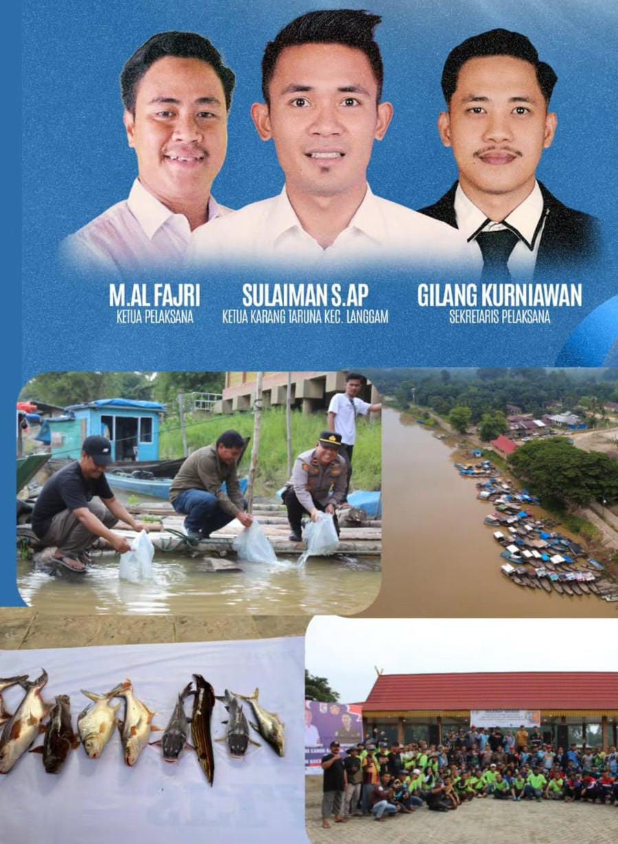 5.000 Bibit Patin Ditabur, Karang Taruna Langgam Tumbuhkan Harapan di Sungai Kampar