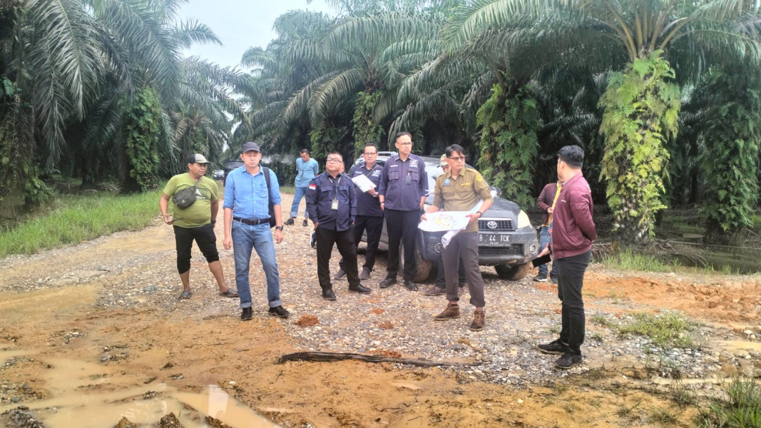 Tanami Sawit di Kawasan Hutan, PN Pelalawan Gelar Pemeriksaan Setempat Lahan Anak Mantan Bupati Pelalawan