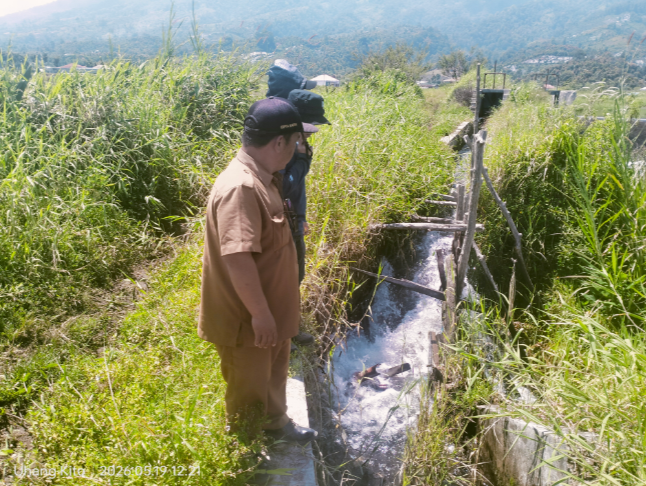 Irigasi DI Lubuk Pauh Jebol, Ratusan Hektare Sawah di Gunung Tujuh Terancam Gagal Panen