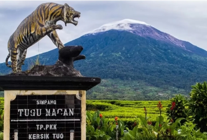 Terpisah Dari Temannya, Pendaki Gunung Asal Surabaya Dikabarkan Hilang di Gunung Kerinci