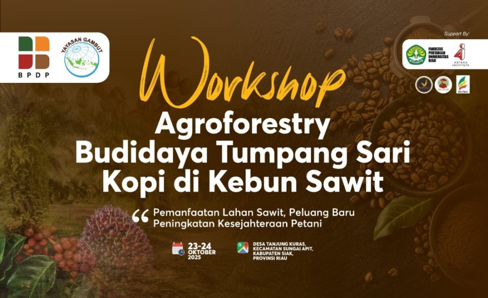Yayasan Gambut Gandeng BPDP Gelar Workshop Agroforestry, Dorong Petani Sawit Tanam Kopi di Siak