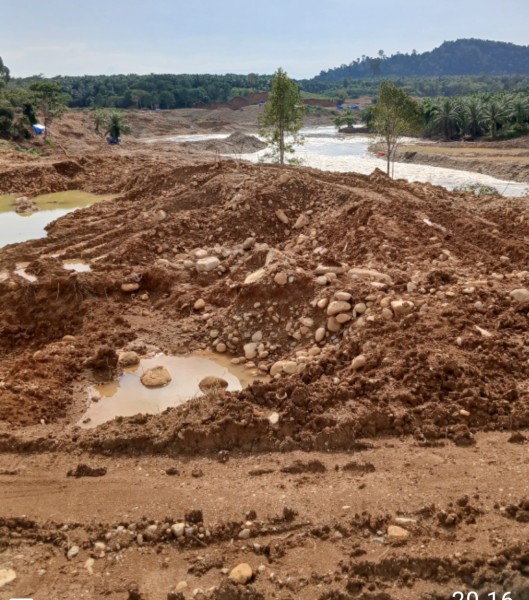 Putra Pasbar Minta Aparat Tindak Penambang Ilegal di DAS Batang Saman
