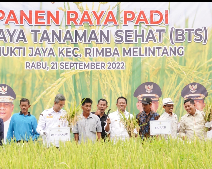 Panen Raya BTS  di Rohil, Asisten II Riau :Inflasi Riau Turun, Meningkat Kwalitas Produksi Cabe