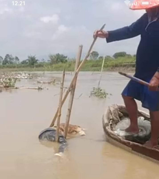 Geger, Mayat Tanpa Identitas Ditemukan Mengapung di Sungai Batang Merao