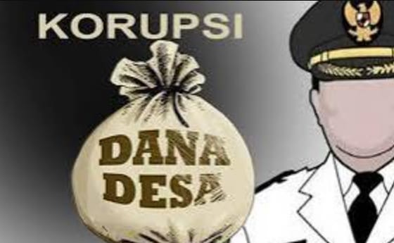 Anggaran Desa Pelayanh Raya Disorot ! Realisasi Rp 172 Juta Lolos Audit, Belum Tentu Lolos Jeratan Hukum