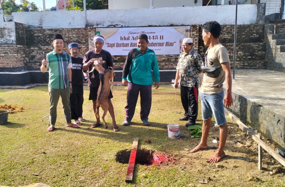 Idul Adha 1445 H, Panggung TokTan Sembelih 19 Ekor Hewan Kurban