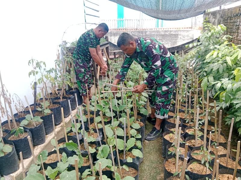Dukung Ketahanan Pangan, Satgas TMMD Ke-129 Kodim 0102/Pidie Garap Demplot Sayuran