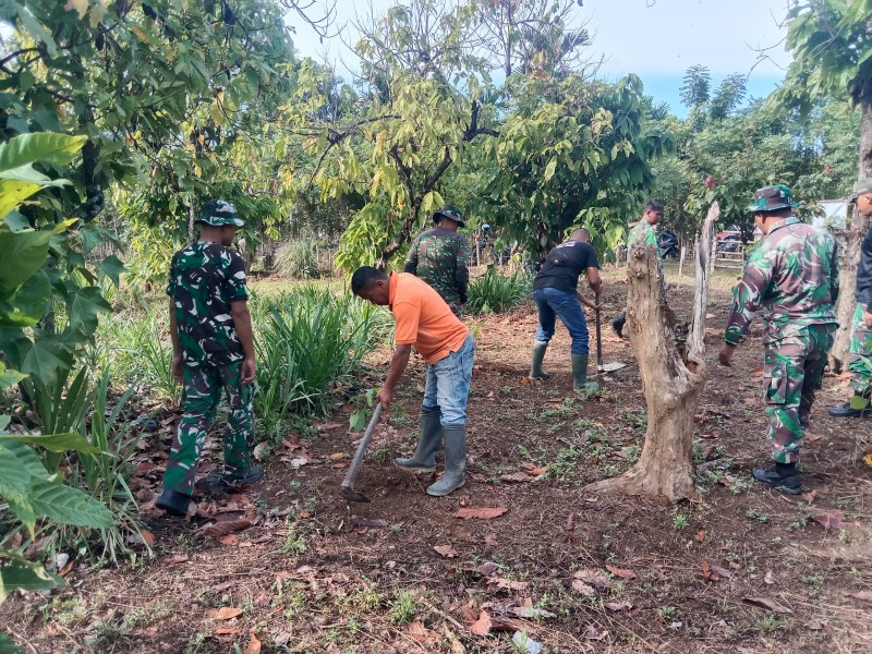 Perkuat Ketahanan Pangan, Satgas TMMD Ke-129 Kodim 0102/Pidie Tanam Pohon Produktif Bersama Warga