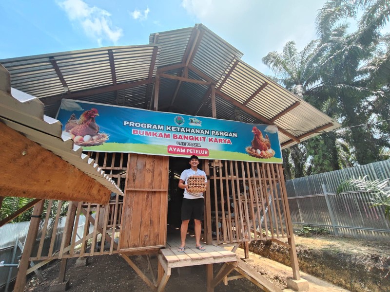 Tiga Bulan Berjalan, Usaha Ayam Petelur BUMKam Kerinci Kanan Tembus Produksi 80 Persen