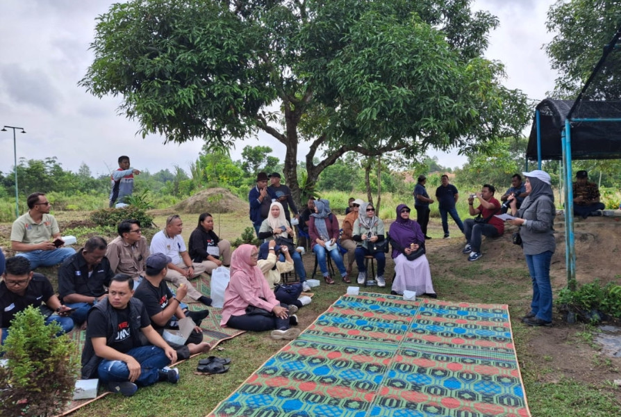 JMSI Riau Kunjungi Pusat Pembibitan Agroforestri Mitra PHR di Pematang Pudu