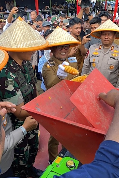 Bupati dan Wabup Pelalawan Ikuti Panen Raya 15 Ton Jagung Pipil Bersama Kapolda Riau