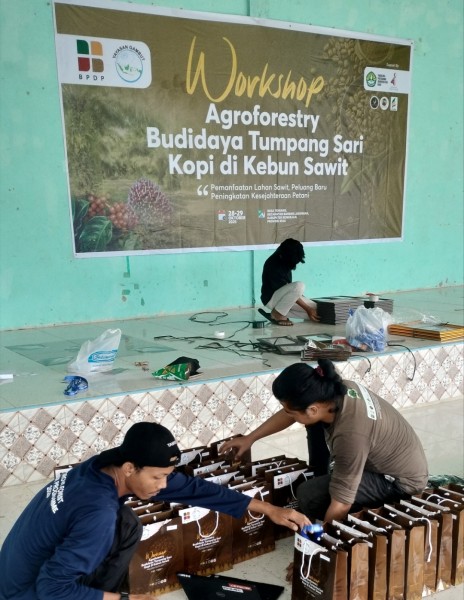 Sukses di Siak, Yayasan Gambut dan BPDP Lanjutkan Workshop Agroforestry Kopi di Bengkalis
