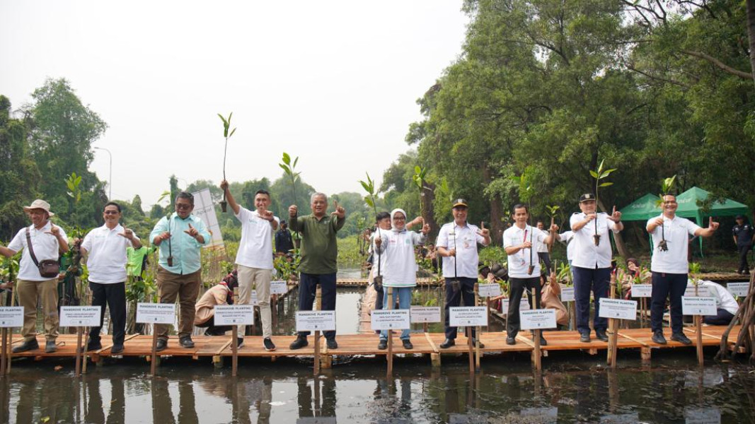 Percepat Perlindungan Ekosistem, Apical  Tanam 3.000 Pohon Mangrove
