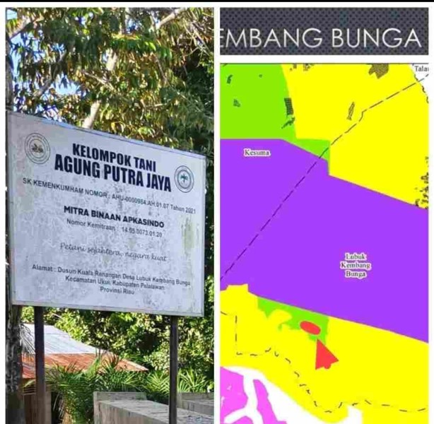 Dugaan Penjualan Ilegal Kawasan Hutan Produksi Terbatas di Pelalawan, Ketua AJPLH Siap Tempuh Jalur Hukum