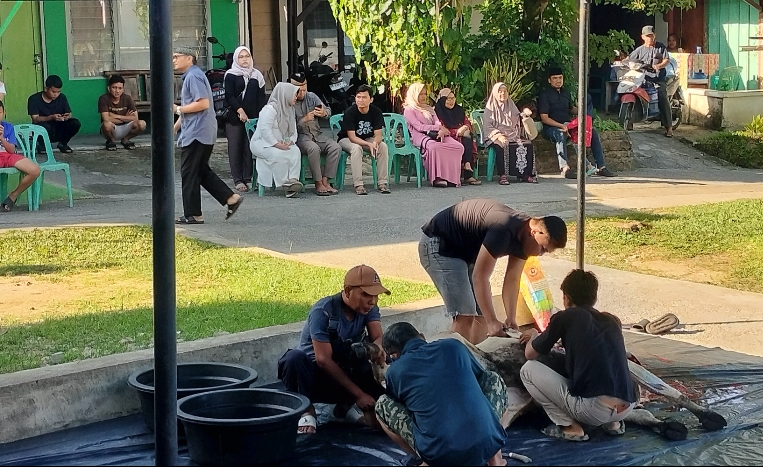Iduladha 1446 H, Masjid Al-Mukminin Gobah Sembelih 10 Sapi dan 7 Kambing