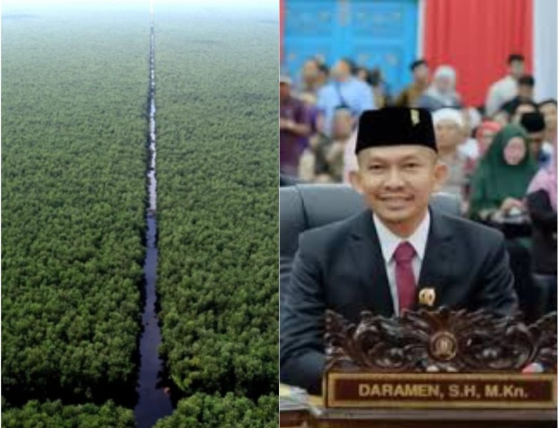 Jadi Sorotan, Dewan Ini Desak PT Mitra Hutani Jaya Bayar Fee Akasia Kelompok Tani Jaya Pulau Muda