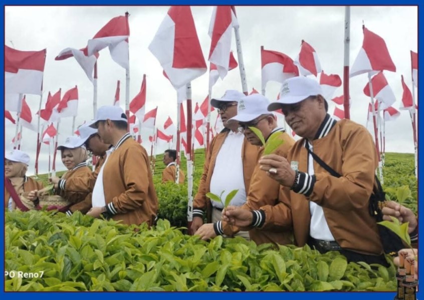 Wawako Azhar Hamzah Hadiri Perayaan Seabad Kebun Teh Kayu Aro, Tegaskan Peran Strategis Ikon Kerinci