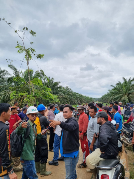 Dikuasai Oknum Tertentu, Ratusan Masyarakat Dusun I Kopau Perjuangkan Hak Lahan Sawit di Wilayahnya